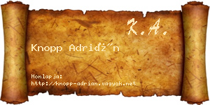 Knopp Adrián névjegykártya